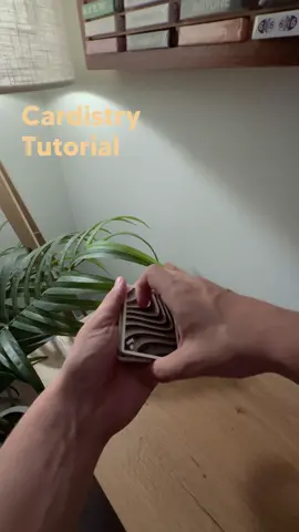 Cardistry Tutorial - Preqel by Dan and Dave Buck #cardistry #cards #playingcards #foryou #cardtrick #magic #learn #howto #tutorial #trick #hobby #trending #flourish #beginner #practice #skill 