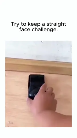 The 