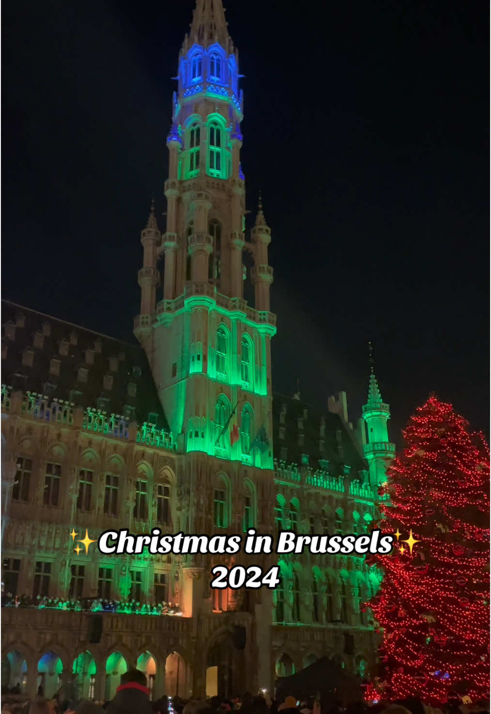 ✨Christmas is here! From 29/11 to 5/11 Brussels welcomes you with an spectacular lights and sound show at Grand-Place and more than 200 chalets with food, drinks, gift ideas and of course mulled wine! Find out all the activities for the festive season at @We Love Brussels 🎄  #brussels #Bruselas #bruxelles #brussel #belgium #belgique #belgica #belgie #welovebrussels #visitbelgium #visitbrussels #brusselsworld #bonjourbruxelles #bruxellesmabelle #loving_belgium #amazing_belgium #brusselslife #mybrussels #topbrusselsphoto #christmasinbrussels 