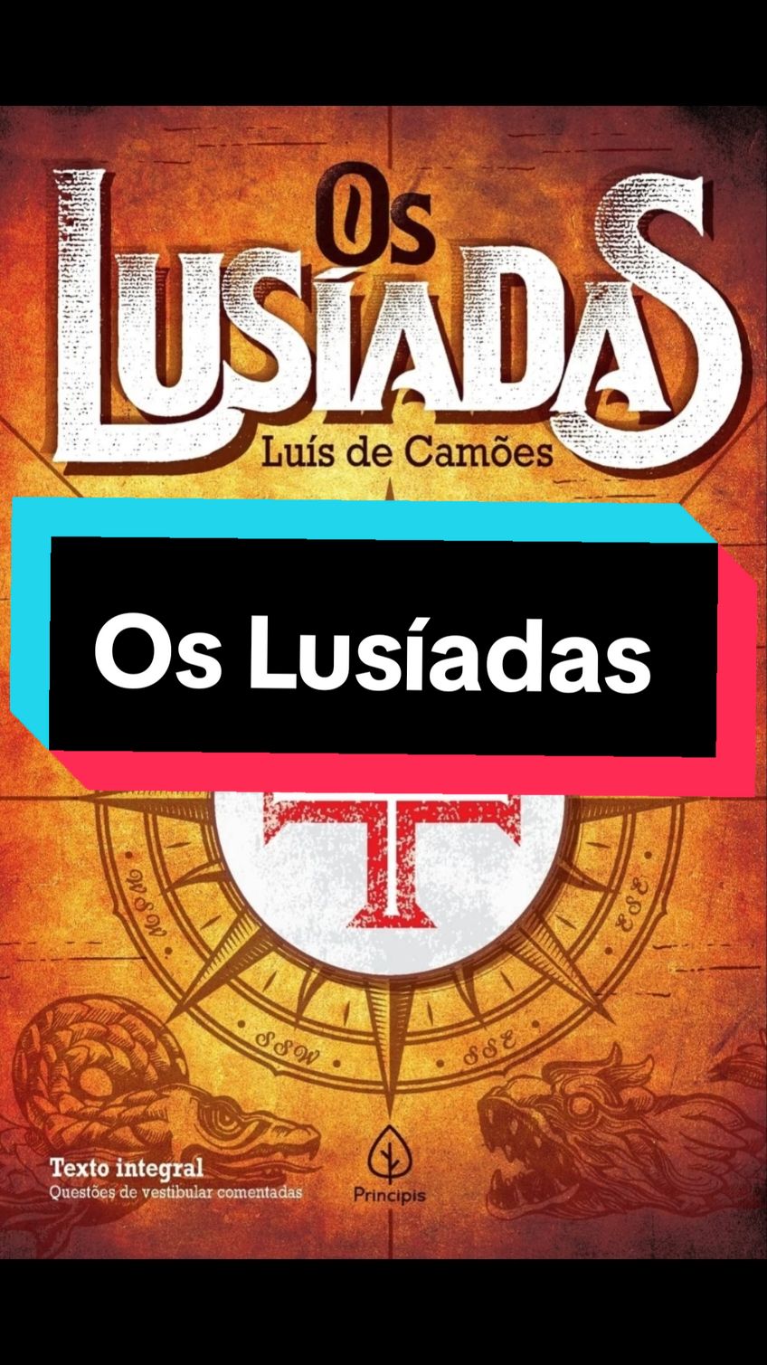 Os Lusíadas - Luis de Camões  #books #biblioteca #literatura #BookTok #leitores #cultura #livros #brasil 