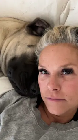 Mornings ❤️ #cuddles #fyp #dogsoftiktok #puppies #mastiffsoftiktok #mastiffs #puppies #cuddling #pov #lucky #doglife #mastiffs #bigdogs #dogtok 