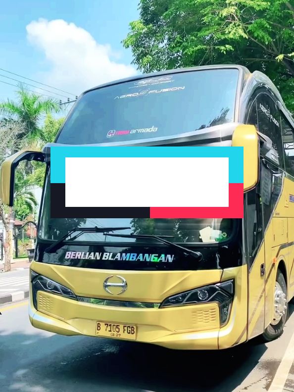 TRAVEL FAST WITH BEAUTY AND SUPER COMFORTABLE FACILITIES #bus #buslaunching #buskeren #indonesia #berlianbelambangan