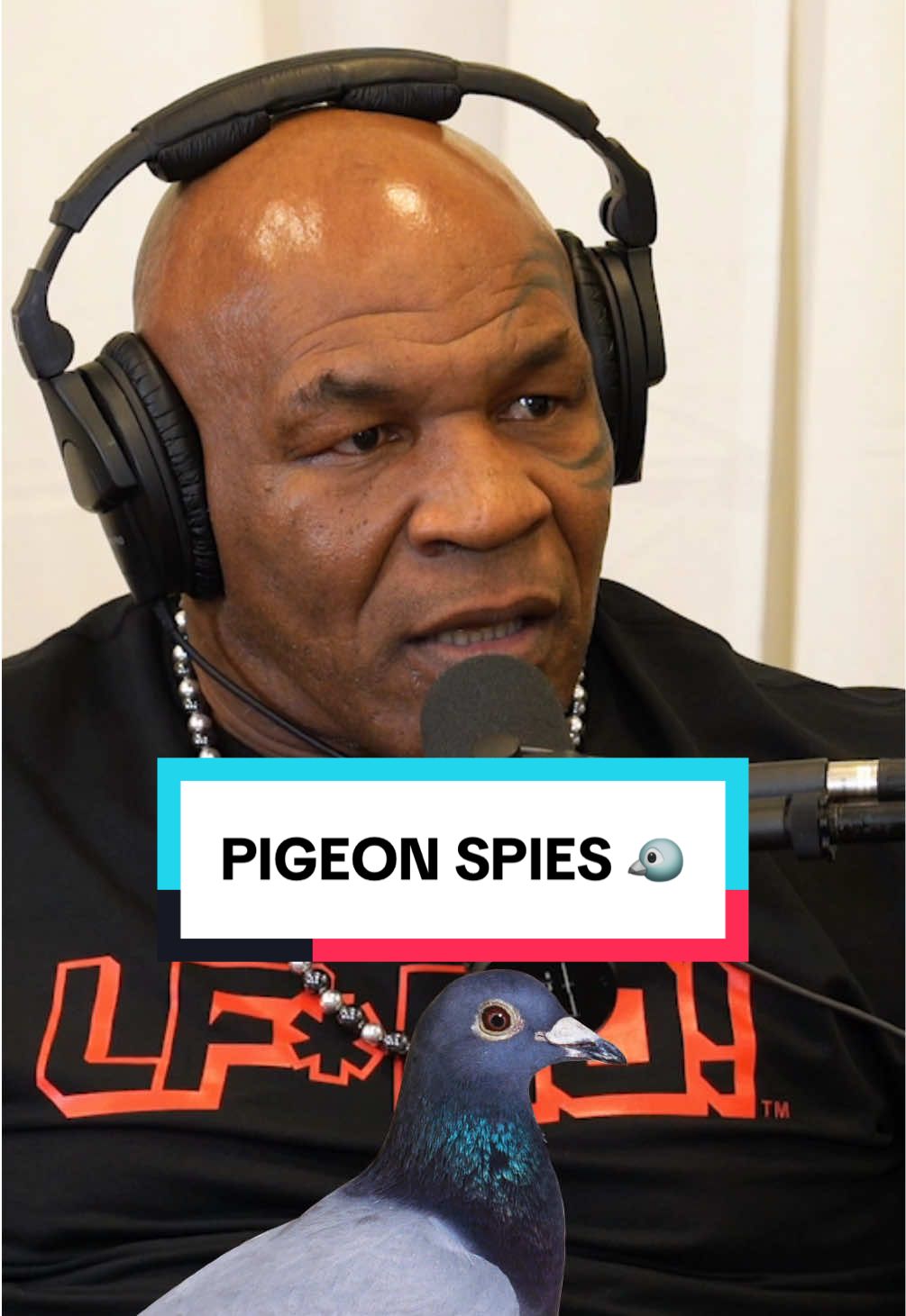 🐦 MIKE TYSON’S MIND BLOWING PIGEON REVELATION 🤯 #loganpaul #mikemajlak #miketyson #pigeon #conspiracy #jakepaul #jakepaulvsmiketyson #impaulsive @Logan Paul @heybigmike 