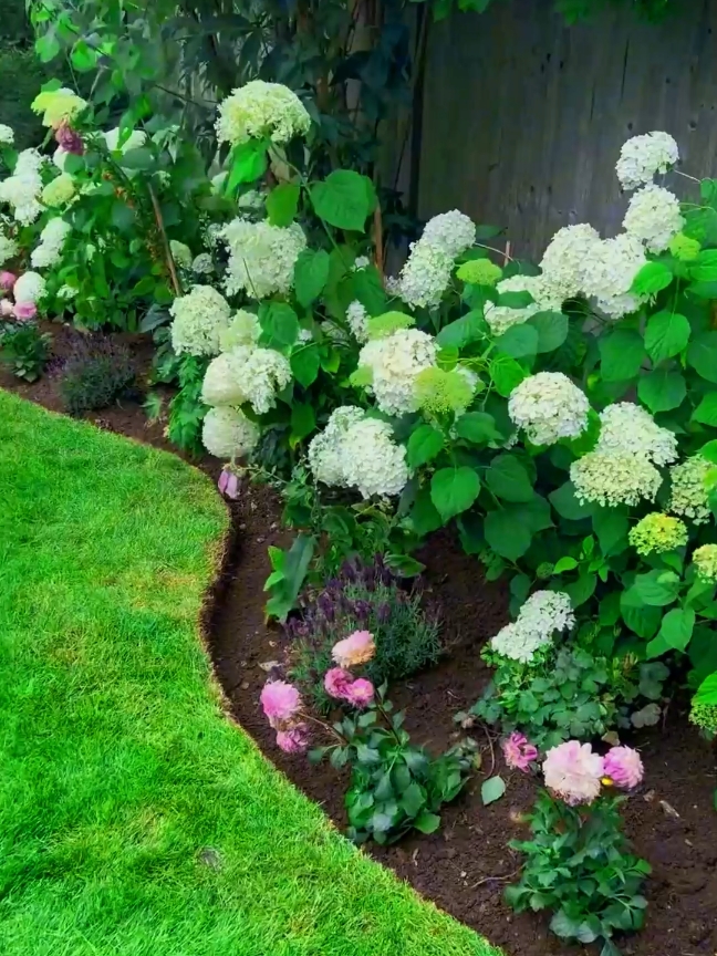 Satisfying work that we love 🙌🧑‍🌾👌 #garden #landscaping #trimming #yardwork #satisfyningvideos #hedges 