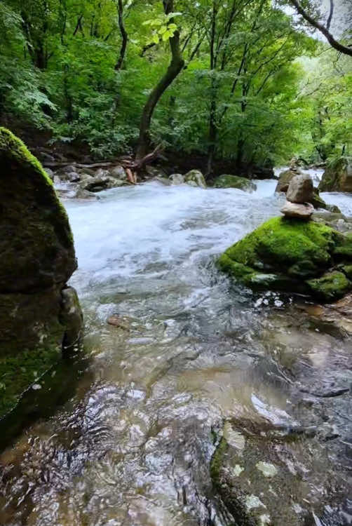 Calm valley 🌴💦 #naturevibes #nature #valley #forest #calm #relax #livewallpaper #calmdown #koreatravel #yongmunsan #용문산계곡 #용문사계곡 #용문산관광단지 #용문산 #용문사