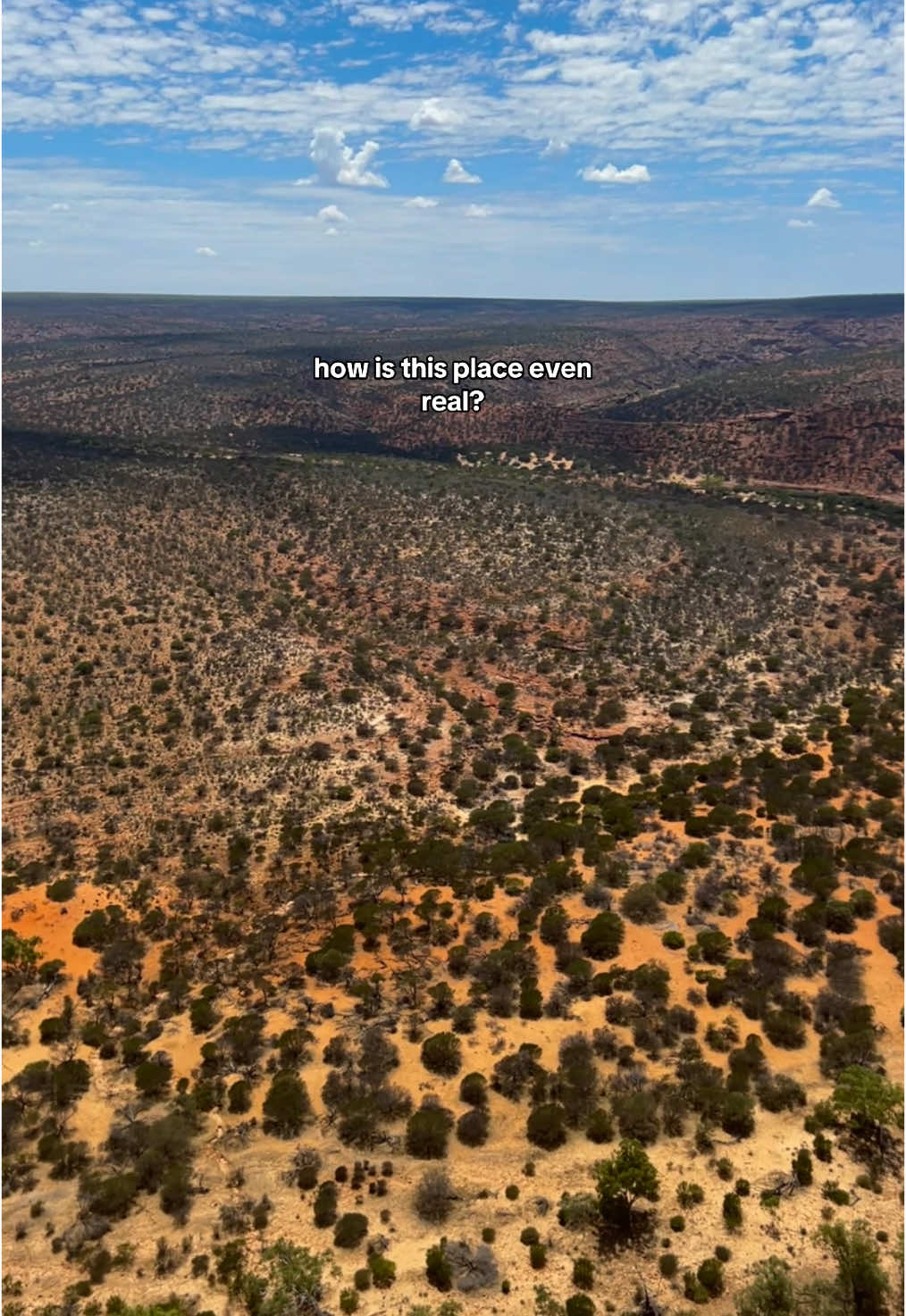 in love with australian national parks ☀️✨💫                                #australia #westcoast #westcoastaustralia #kalbarri #kalbarrinationalpark #kalbarriskywalk #nature #natureaustralia #stunning #fyp #backpacking #fyppp #viral 