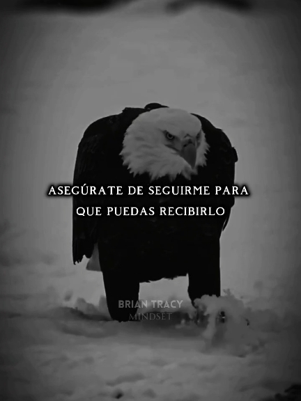 Desbloquea tu mente millonaria / Billionaires Brian Tracy Daily Motivation Video.  #motivation #briantracyespañol #briantracymotivation #billionairemindset #motivacional 