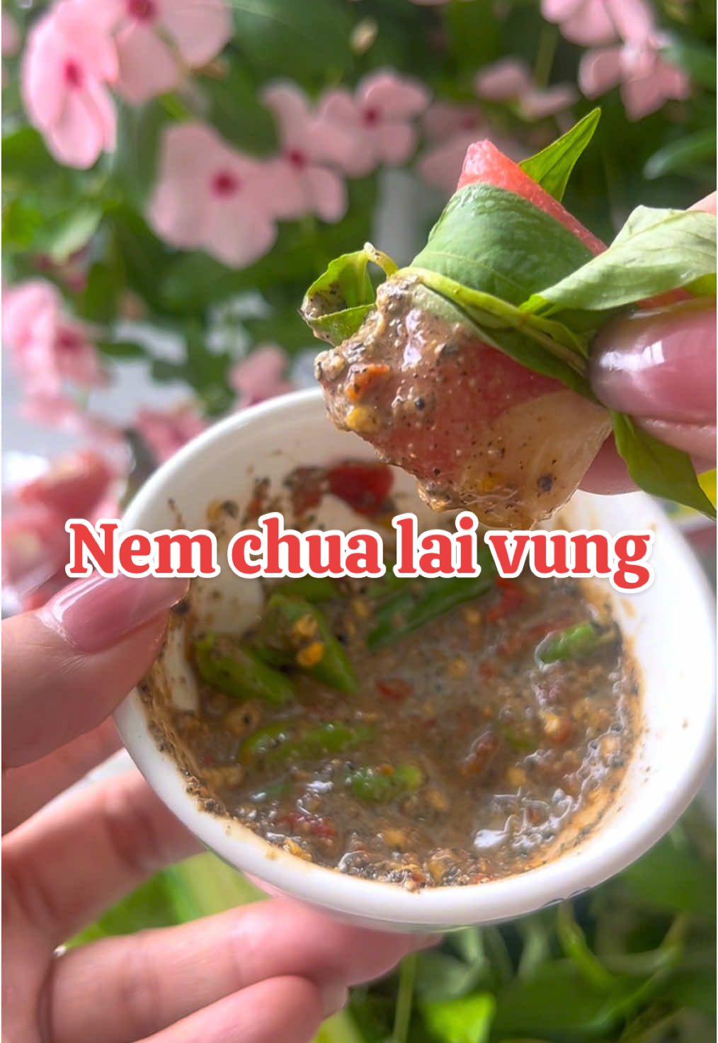 Nem chia lai vung 50 chiếc hơn 90k. Ngon lắm cả nhà oi#bepbaduong #xuhuon #xuhuongtiktok2024 #ancungtiktok #reviewfood #commientay #dacsanvietnam #food #nem #nemchua #nem chua ngon nhất được review #nemchualaivung 