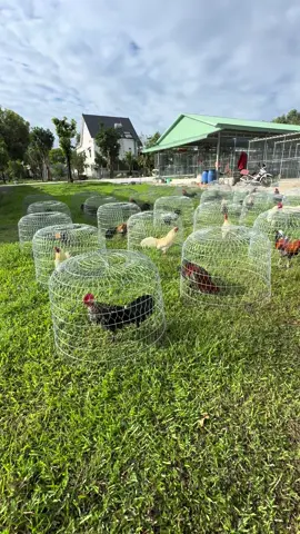 Chào buổi sáng 🥰🥰🥰