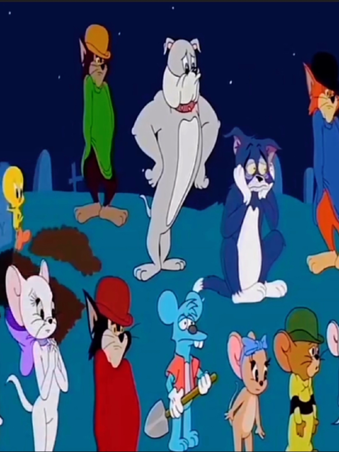 #cartoon #tomandjerry #animation