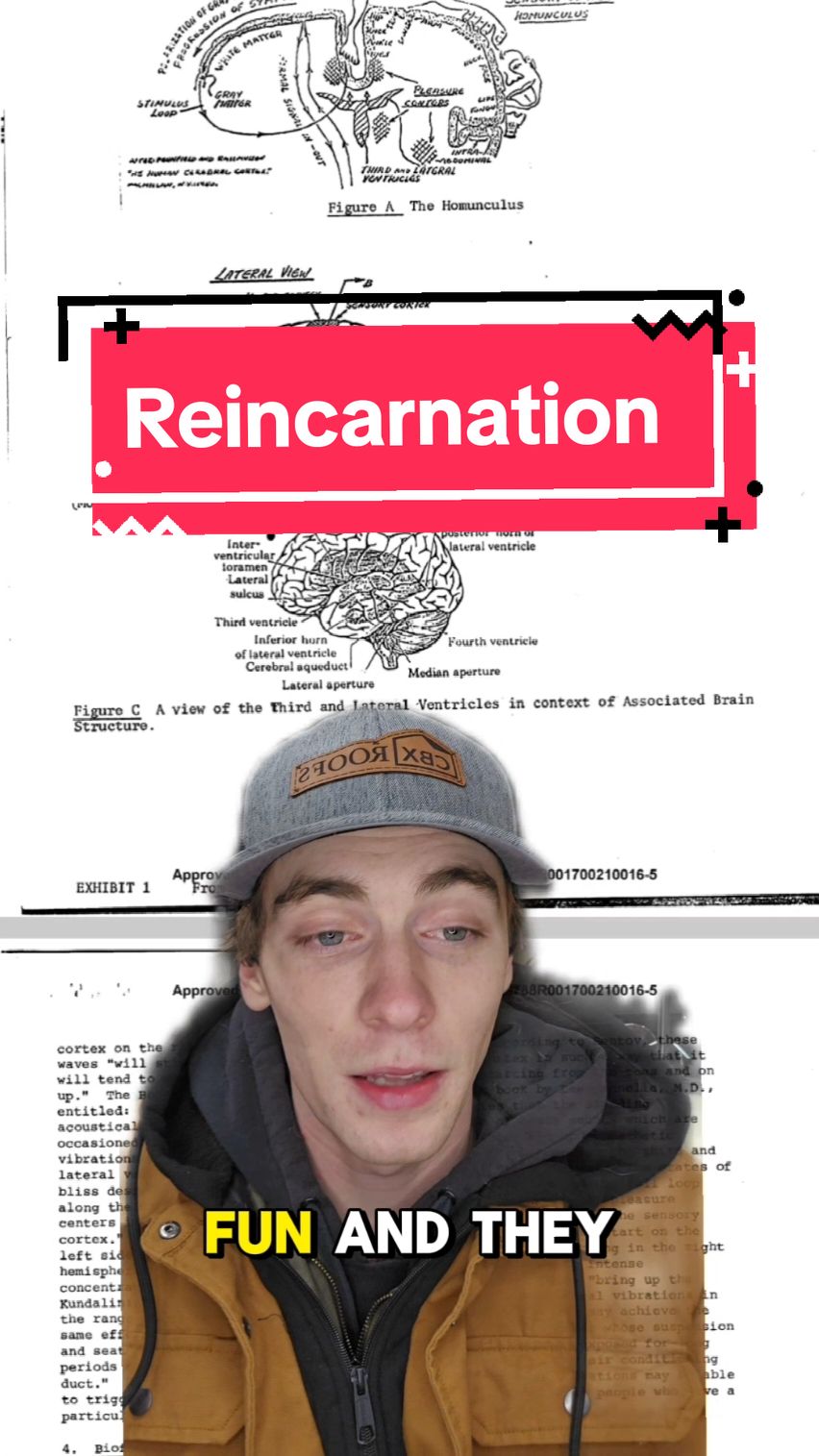 My take on reincarnation 