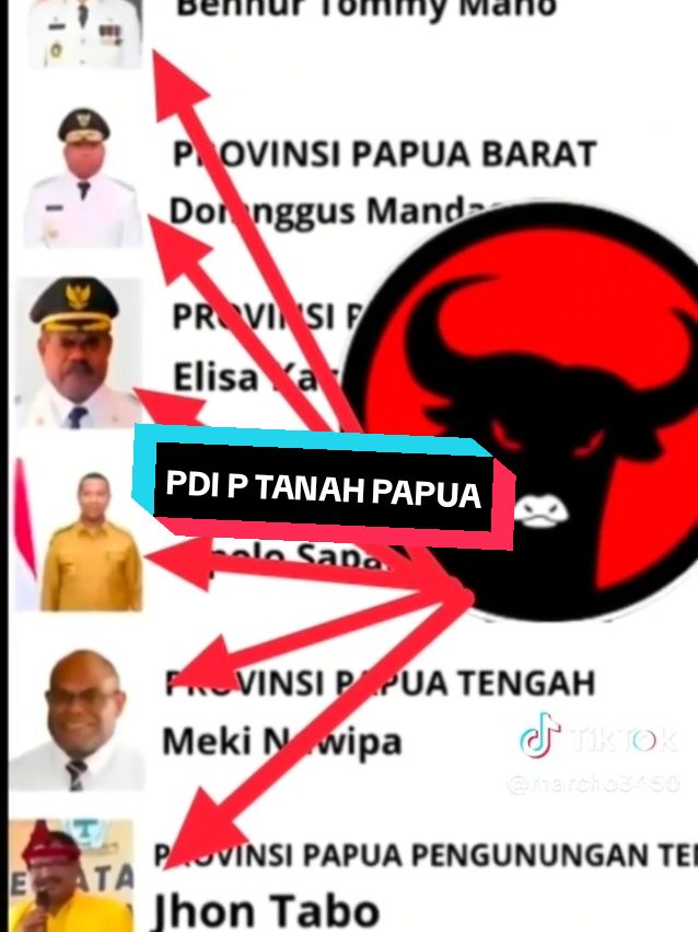 PDIP TANAH PAPUA