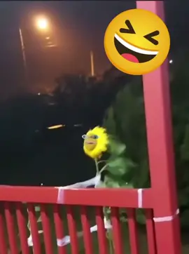 Funny video 🤣 #humor #comedia #risa #viral 