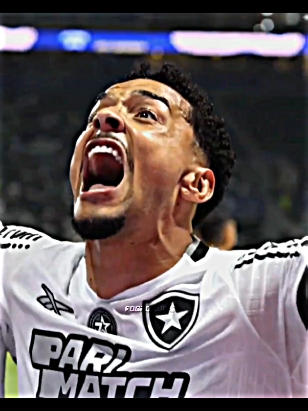 É HOJE! CHEGOU O GRANDE DIA, É PELO NOSSO MAIOR SONHO! VAMOS, BOTAFOGO!🔥🙌🏽 #botafogo #fogaoedits #edit #libertadores #futebol 