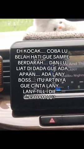 lany pls ke solo #lany #fyp #fyppppppppppppppppppppppp #foryoupagе #fypシ゚viral #lany #lanyconcert 