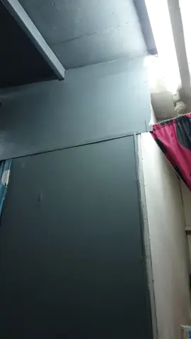 pilipipip