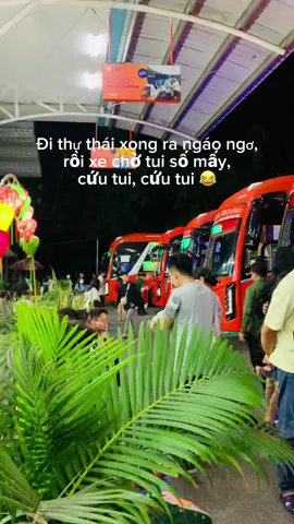 #30/11/2024 #Madagui #lâmđồng  #xe #phuongtrang 
