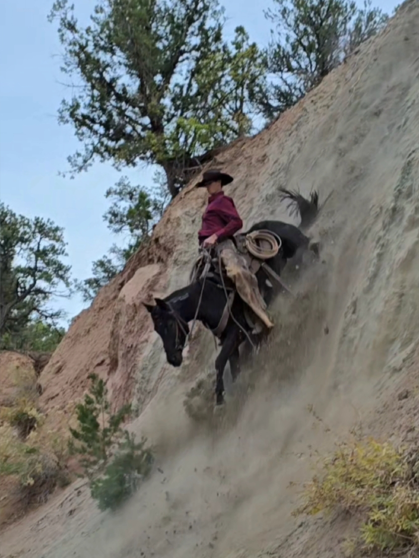 Quick Slide. Would you slide your horse off this hill? #mustanghorse #horse #horsesoftiktok #Mustang #blmmustang #horse #cowboy #fyp (Performed by Professionals) (do not attempt)