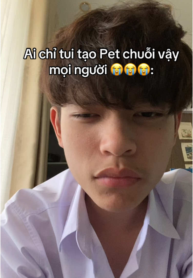 Ai chỉ tạo pet chuỗi đi 😭😭😭