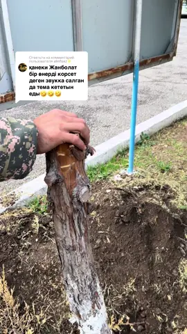 Ответ пользователю @alm1sxz⚡️ #рекомендации #elburso #əзілғой😂😂 