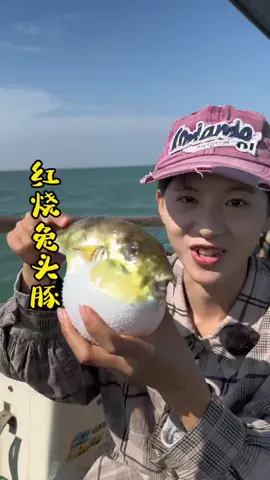 谁能拒绝这一口红烧兔头豚  （注：博主个人处理河豚方式，切勿模仿，处理河豚需找专业人士处理） #出海捕鱼 #河豚 #海鮮  #美食 #美食分享 #乡村守护人  #Food #fishing  #上热门 #上热搜 #fyp    #fypシ 