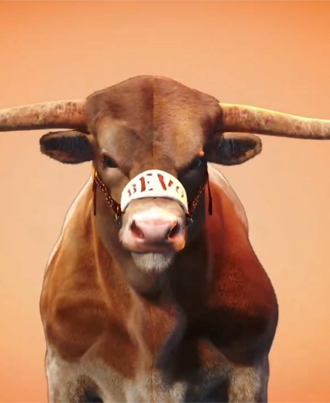 As our @TexasLonghorns head into College Station to take on the Aggies, let’s keep that 3rd Down Bevo energy all evening long for @TexasFootball - truly one of my favorite moments announcing during our home games at DKR as 100K come to life! #HookEm 🤘 #TexasFight #QuinnEwers #MatthewGolden #ColinSimmons #JahdaeBarron #AnthonyHillJr #MichaelTaaffe #DavidGbenda #JaylonGuilbeau #IsaiahBond #GunnarHelm #3rdDownBevo #TexasLonghorns #CFB #HookEm #SteveSarkisian 