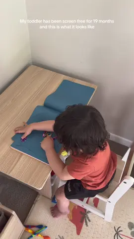 My toddler has been screen free for  almost 19 months and this is what it looks like. #screenfree #toddleractivities #toddlersoftiktok #toddlerlife #toddlermom #MomsofTikTok #creatorsearchinsights 