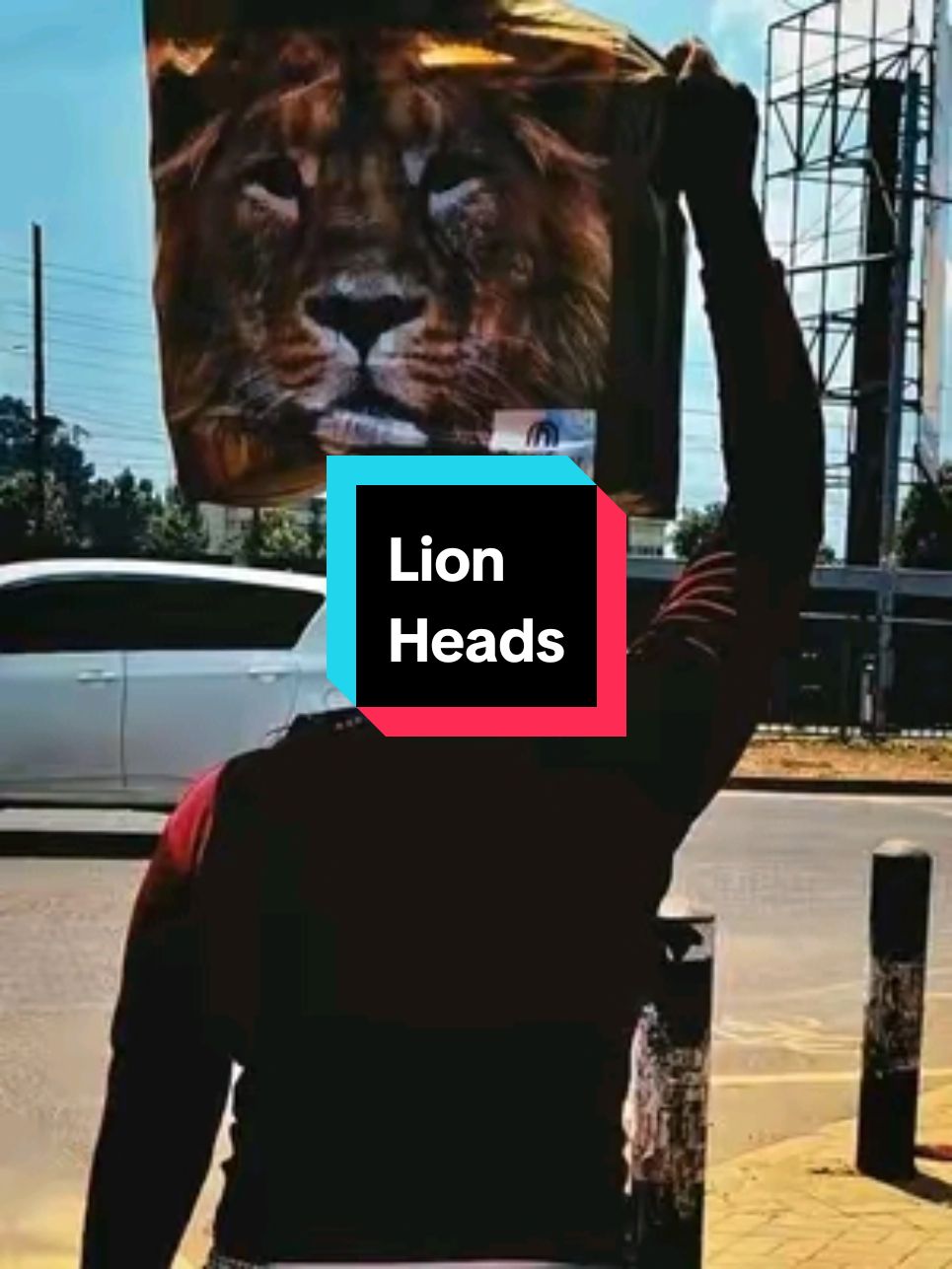 Witnessing two lions being carried on the head, a common practice in Kenya and other countries in Africa #shopping #walking #transport #Nairobi #kenyantiktok🇰🇪