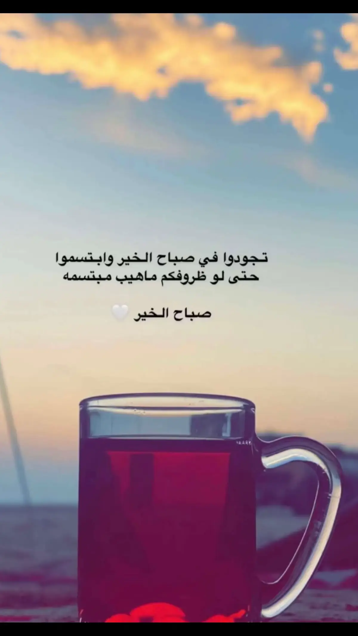 #متابعيني_الغالين💝 #صباحكم_سعادة_لاتنتهي #صباحكم_سعادة_لاتنتهي #حايل_بعد_حيي💕 #الهنوف #شمريه #طريف_الحدودالشماليه #شمررررررررررر🇹🇷🇹🇷🇹🇷🇹🇷🇹🇷 #الحدود_الشماليه #حايل_بعد_حيي💕 