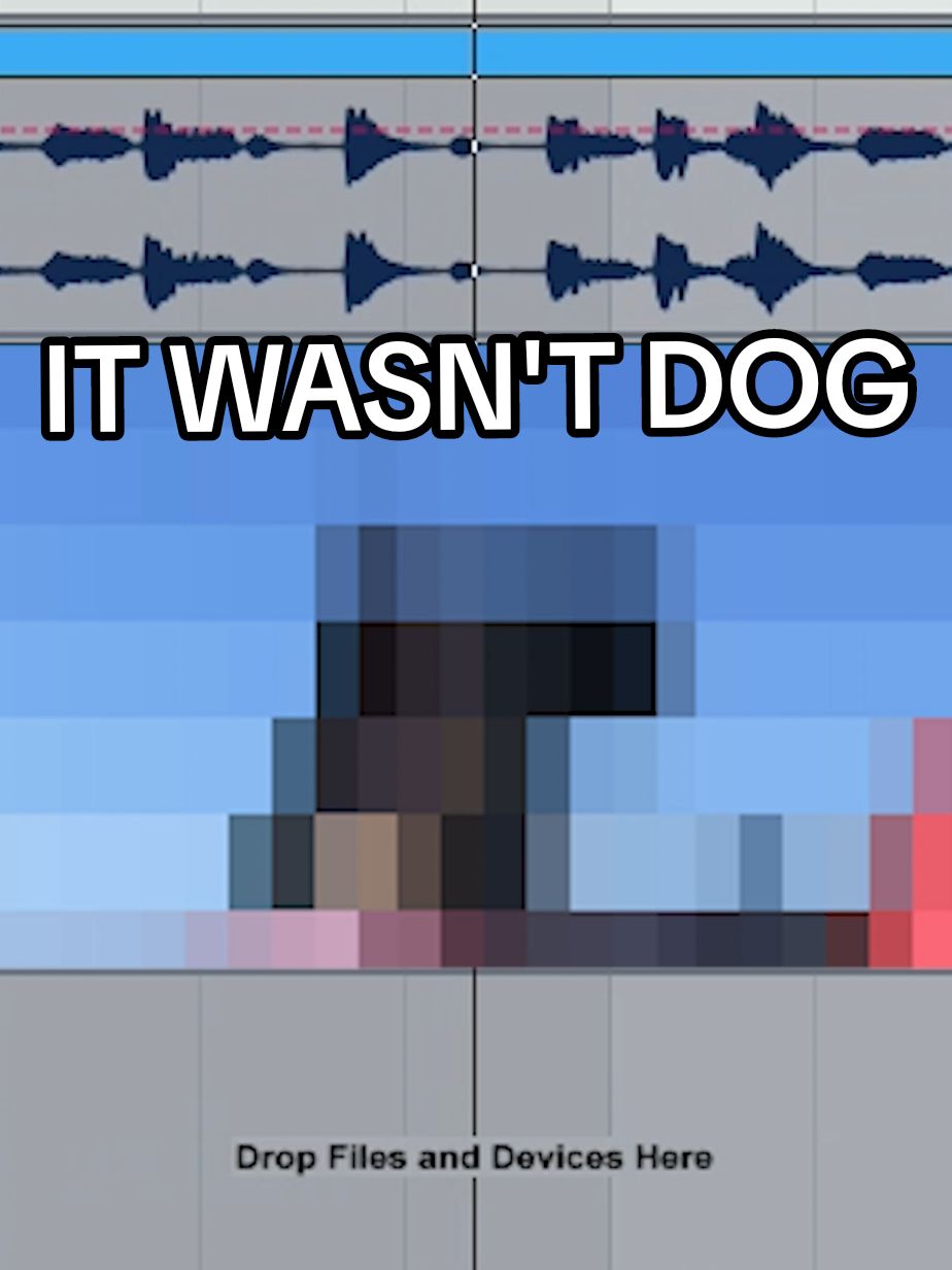 It Wasn't Dog 🐶🤫 Longer vid from what I do usually, hope you all like it!  . . . . #dogofwisdom #shaggy #wasntme #rikrok #itwasntme #y2k #2000s #fyp #fypシ #memes #cursed #newsound #mrboombastic 