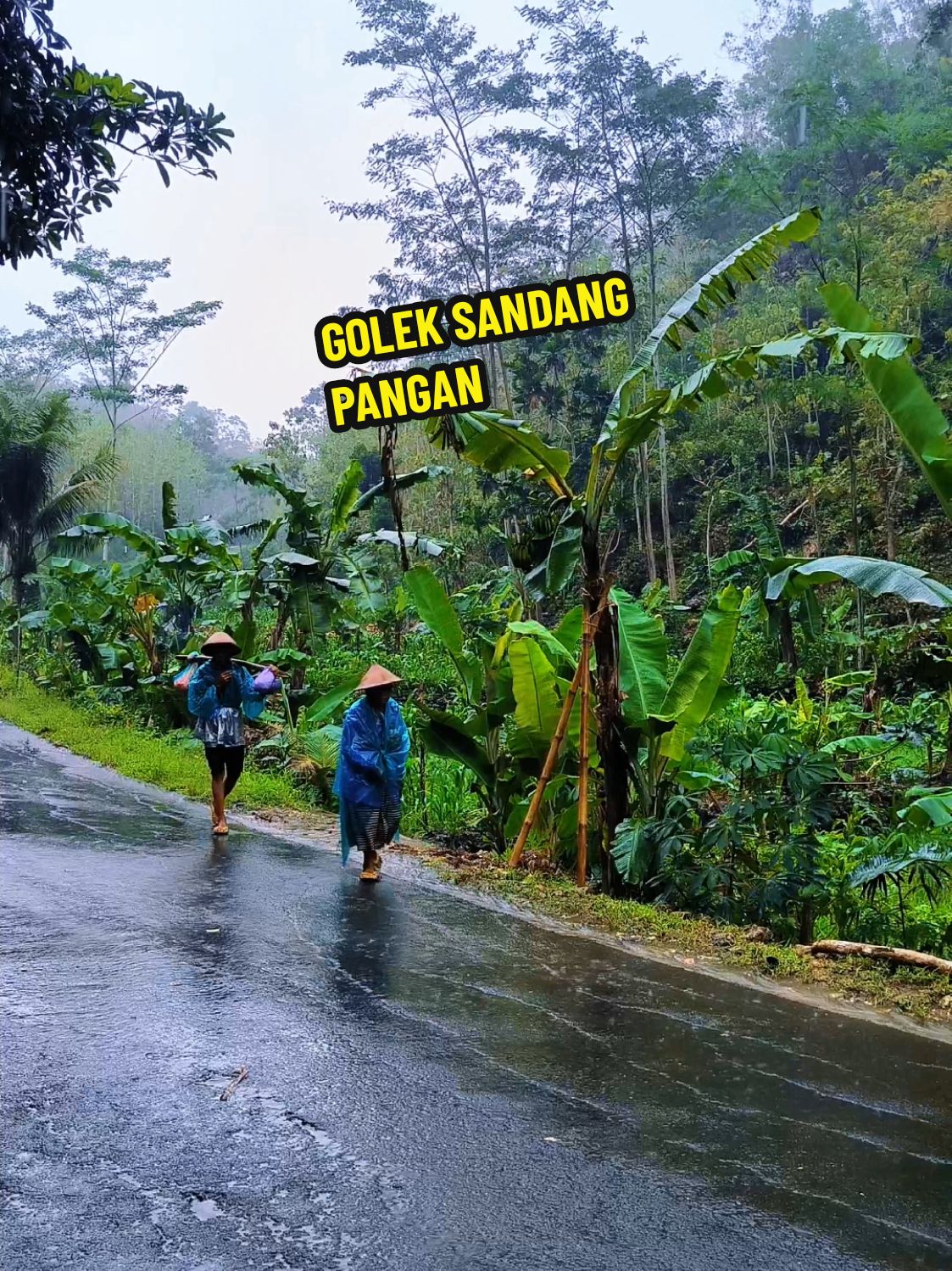 Gambaran urip neng pesisir kidul gunungkidul,mangkat esuk baline sore,kadang kepanasen kadang kudanan,tetep semangat bapak ibu aku yakin kabeh iklas mbok lakoni nggo anakmu. #gunungkidul #inspirasigunungkidul #petani #balikerjo #bapak #ibu #simbok #kerjakeras 