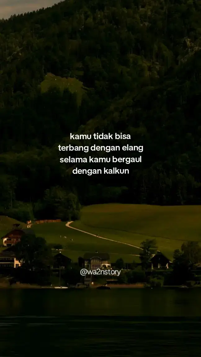 yakali gaul sama kalkun😩 #quotesmotivasi #foryou #fypシ 