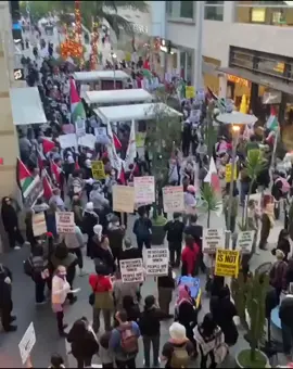 The people of Los Angeles took to the streets in Santa Monica to say no to genocide on the International Day of Solidarity with the Palestinian people.