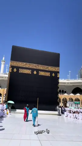 ya habibi ya Allah  دلیل قبولک اننا بین یدیک