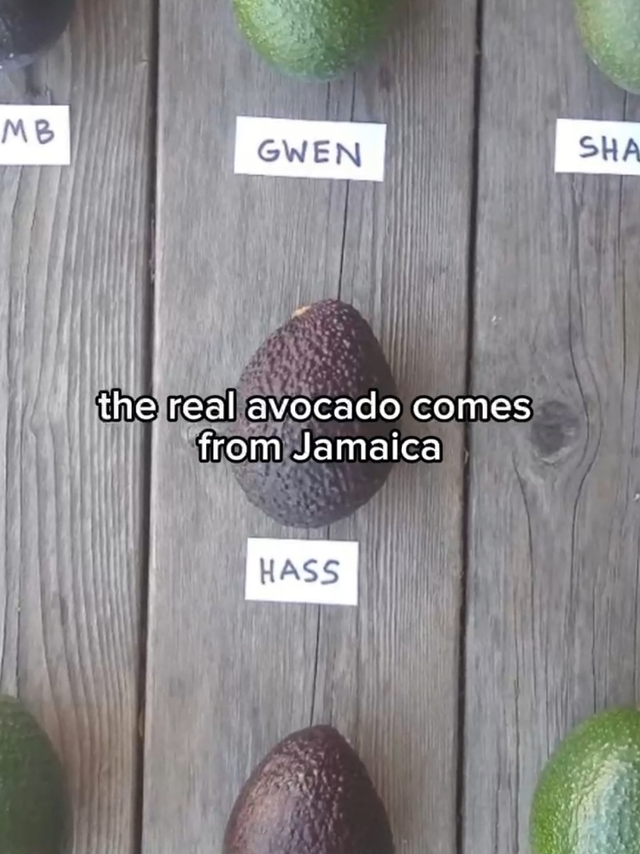 These Avocados are fake #avocados #fake #health #healthyfood #healthylifestyle 