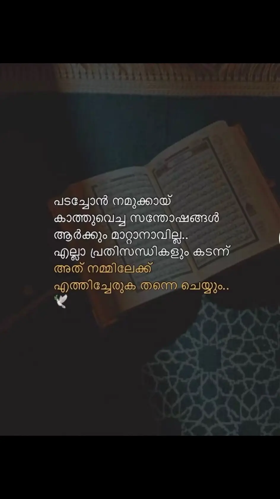 #എല്ലാരോടുംസ്നേഹംമാത്രം💞💞💞#malayalamstatus#pravasimalayali#tiktok#vairal#video#song#foryou#foryoupage#feelings#pranayam#fyp💕💕#ചങ്ങായിസ്❤️ 