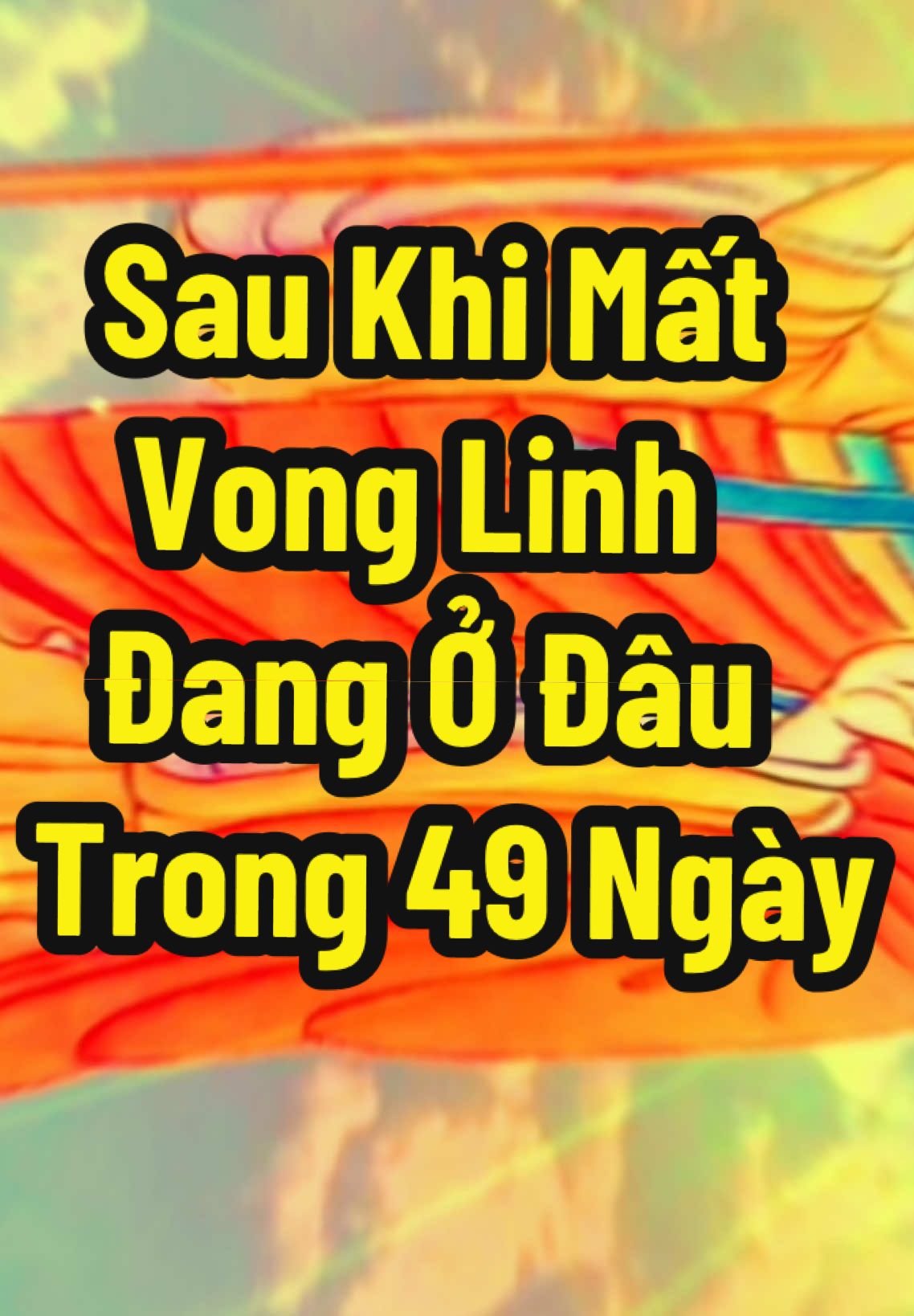 Sau Khi Mất Vong Linh Đang Ở Đâu Trong 49 Ngày #adidaphat #nammoadidaphat #phatphapnhiemmau #phatphap #phatphapvobien #xuhuong 