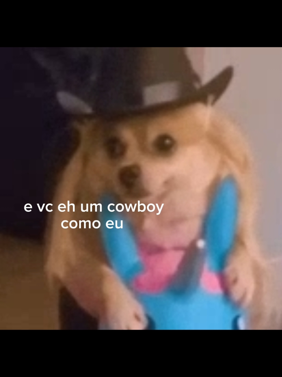 amo essa #edit #taylorswift #evermore #viral #fyp #foryou #foryoupage #dog 