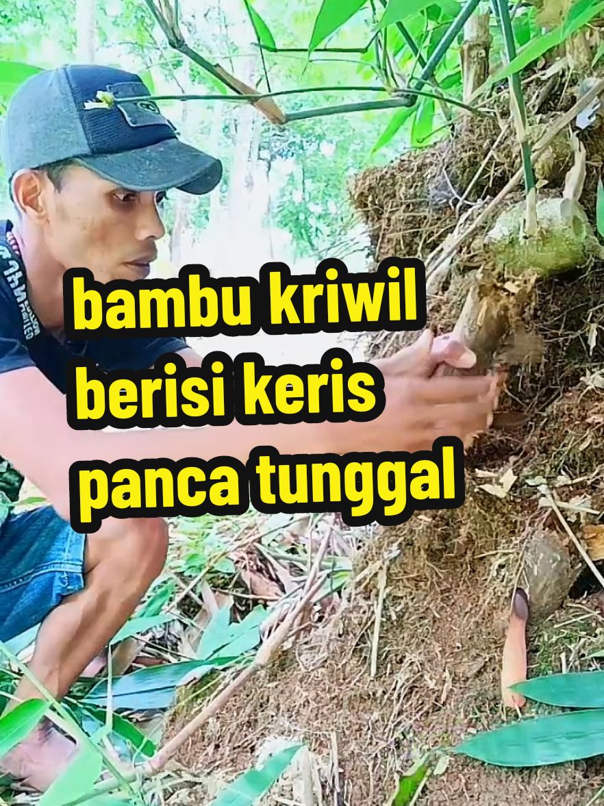 Bambu kriwil berisi keris panca tunggal #trending #mistis #bambupetuk #viral sembunyikan 