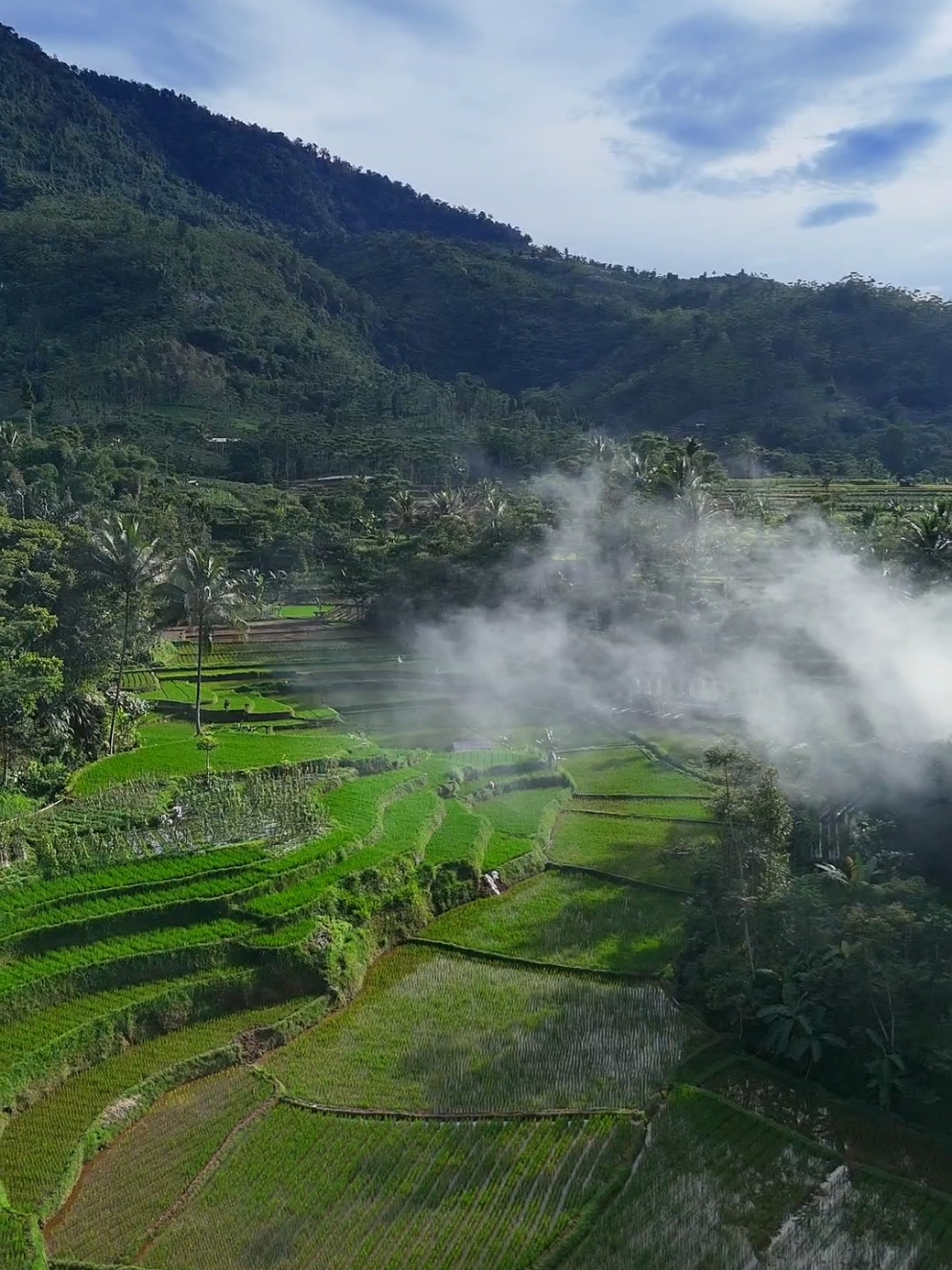 Membalas @ar_sukma22  kampung nu endah, caket pisan sareng gunung wayang  📌 Pulosari, Kalapa nunggal - Sukabumi #kampung #sunda #sawah #desa #gunung #potretpilemburan #nagrak #sukabumi #sukabumijawabarat #sukabumihits #sukabumiexplore #jawabarat #viral #fyp 