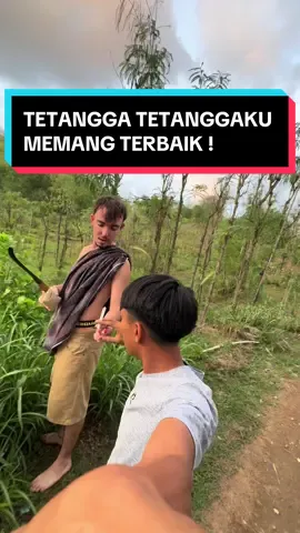 Tetangga tetanggaku memang terbaik ! 