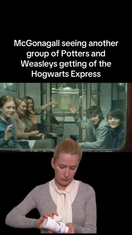#weasleytwins #arthurweasley #mollyweasley #ronweasley #fredweasley #georgeweasley #professormcgonagall #hogwartsexpresstrain 
