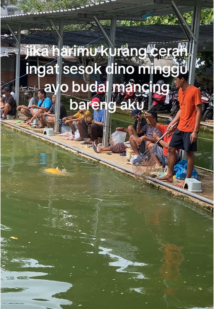 inpo spot haup” kang #mancing #fyp #fypシ゚ #masukberanda #fyppppppppppppppppppppppp #ikanemas #pati 