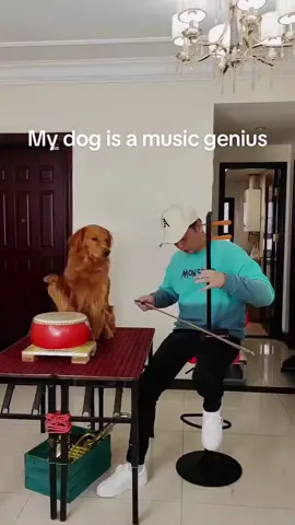 #dog #dogsoftiktok #prank #foryoupage #fyp