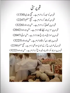 Qabar parasti Haram ✔️ #enjineermuhammadalimirza #student #unfrezzmyaccount #fyp 