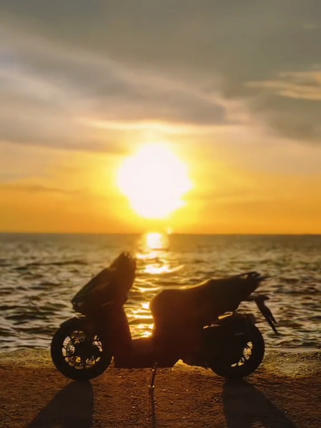 nyoride with a vario🌅 #v160 #fyp #sunset #cinematic 