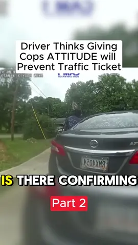 Part 2 #copsoftiktok #policeoftiktok #police #fyp #copsontiktok #cops 