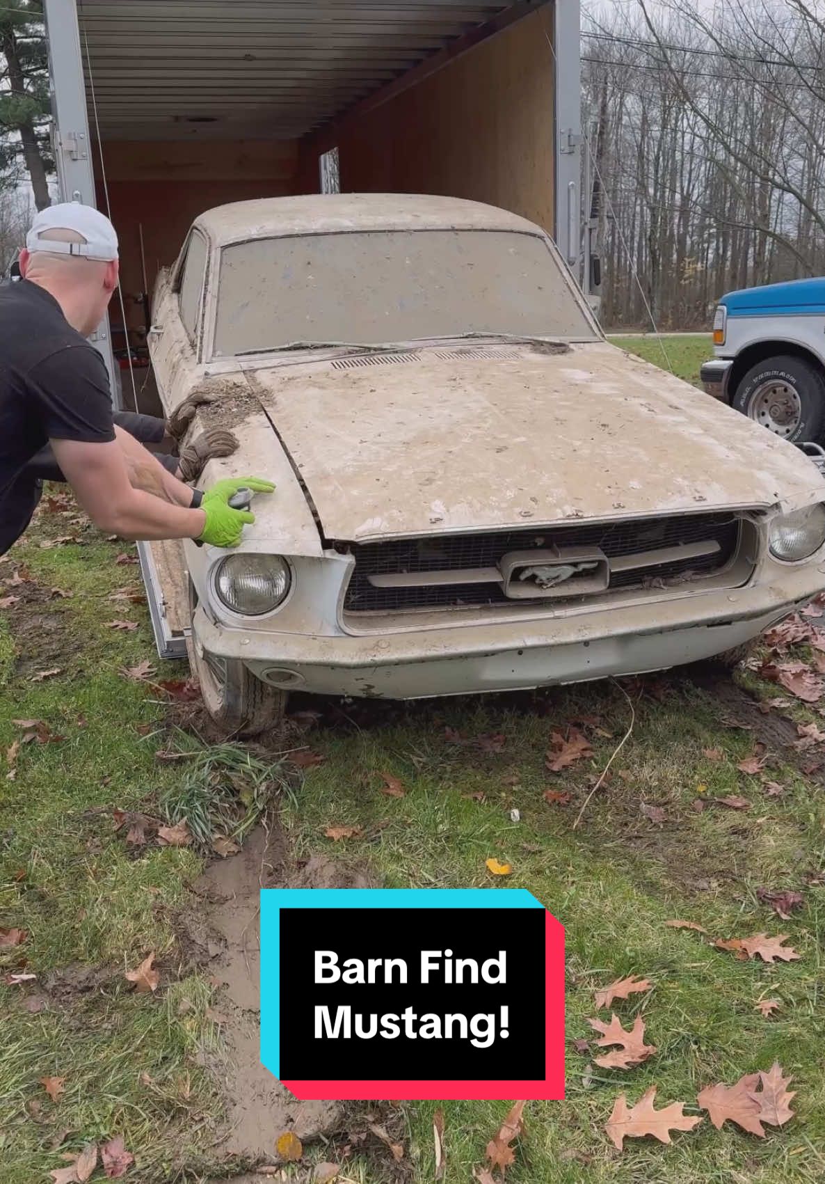 Is this Barn Find Mustang worth saving?! #wddetailing #detailing #carwash #carcleaning #satisfying #satisfyingvideos #barnfind #fyp #abandoned #cardetailing #asmr #trend #trending