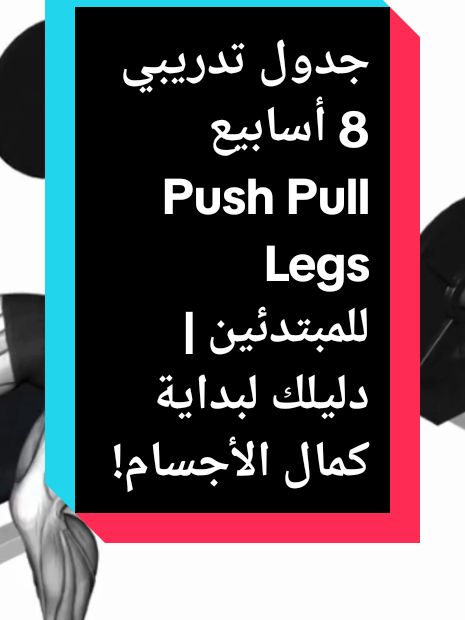 جدول تدريبي 8 أسابيع Push Pull Legs للمبتدئين | دليلك لبداية كمال الأجسام!