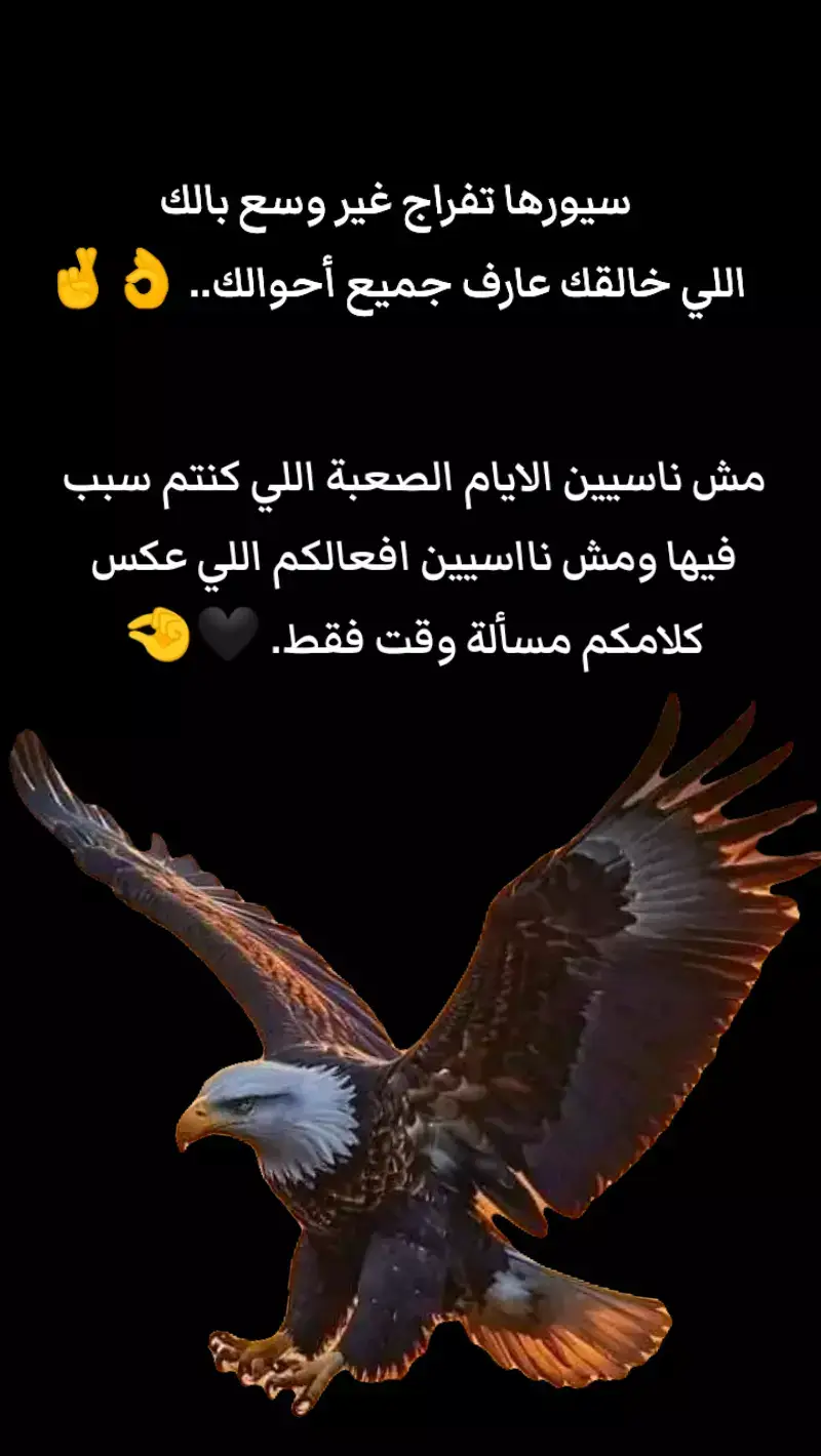 #العجيلات_سوق #عجيلي_ياخال🦅🔥 #العجيلات_الزاويه_صبراتة_طرابلس #ليبيا_طرابلس_مصر_تونس_المغرب_الخليج❤️🦅 